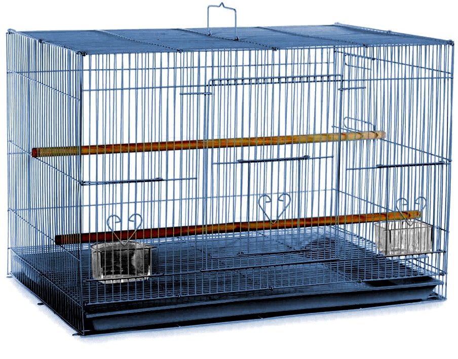 Flight Cage (Blue) - 24x16x16