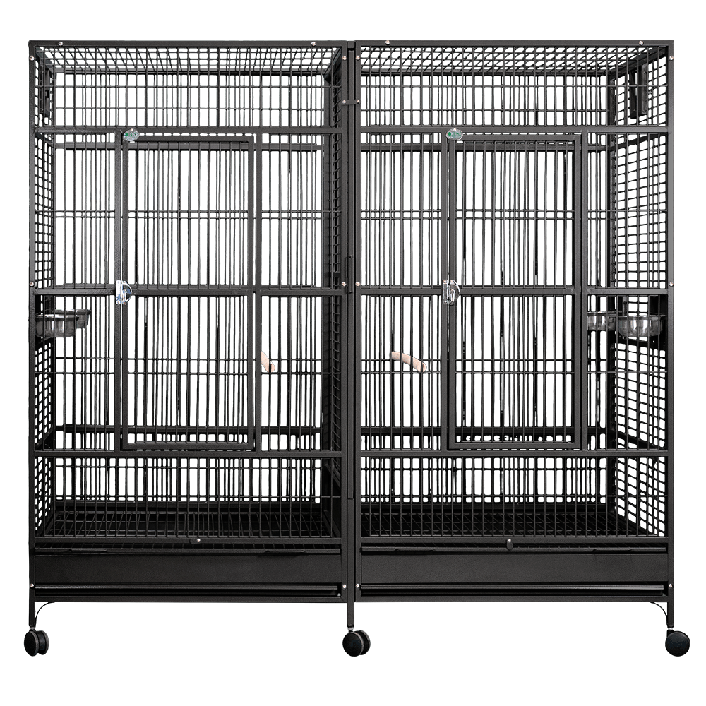 Double Macaw Cage with Divider (Black) - 80"x40"x74"