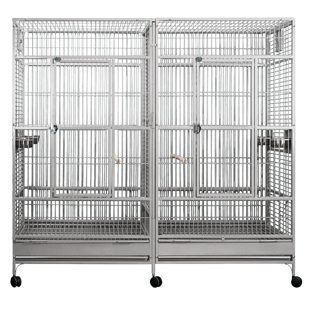 Stainless Steel Huge Double Macaw (Stainless Steel) - 80"x40"x74"